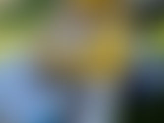 Seriously, it’s right over there!