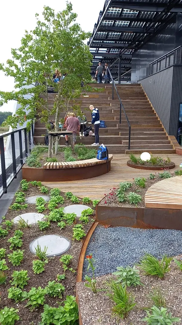 Miniature : TERRASSE PLANCHER DE NAVIRE - AZOBE