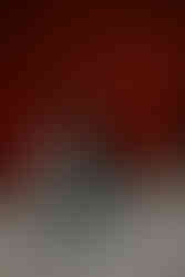 parfotografering vid olais lada