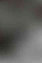 brudparet med brudfölje