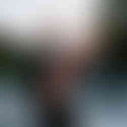 bröllopsmiddag gränsö slott