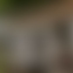 Dokumentär bröllopsfotograf