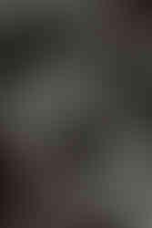 bröllop på sofiero slott