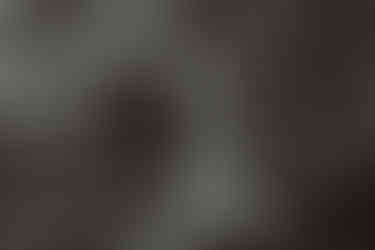 bröllop på sofiero slott