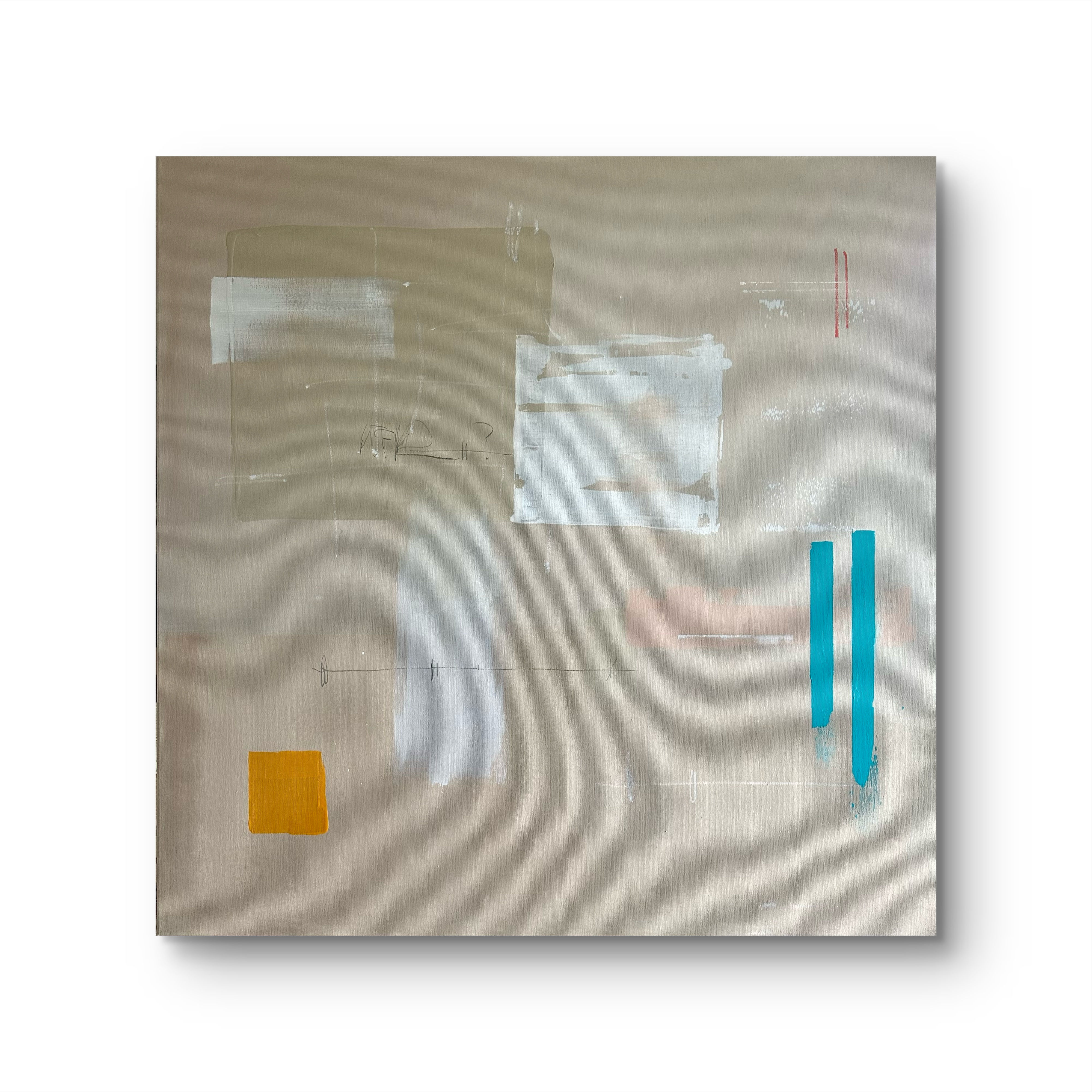 "WTF - Wild, True, Free" — 100 x 100 cm