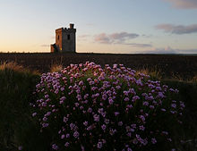 Ireland - April-May 2022