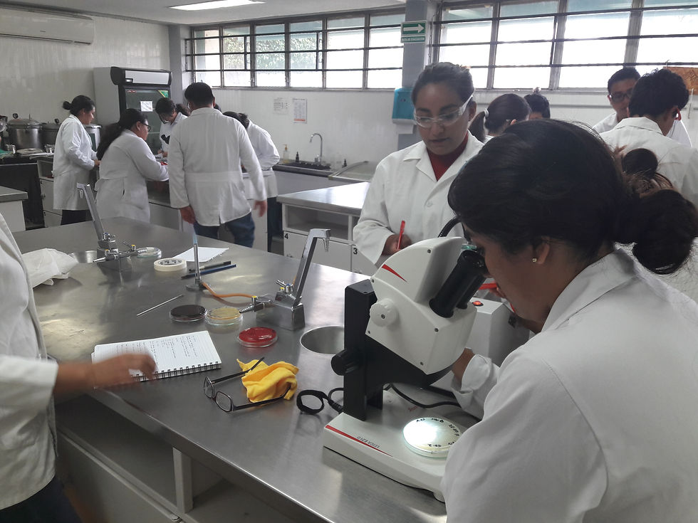 Laboratorio de microbiología