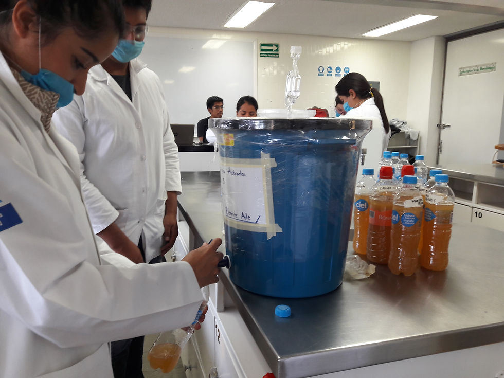 Laboratorio microbiología