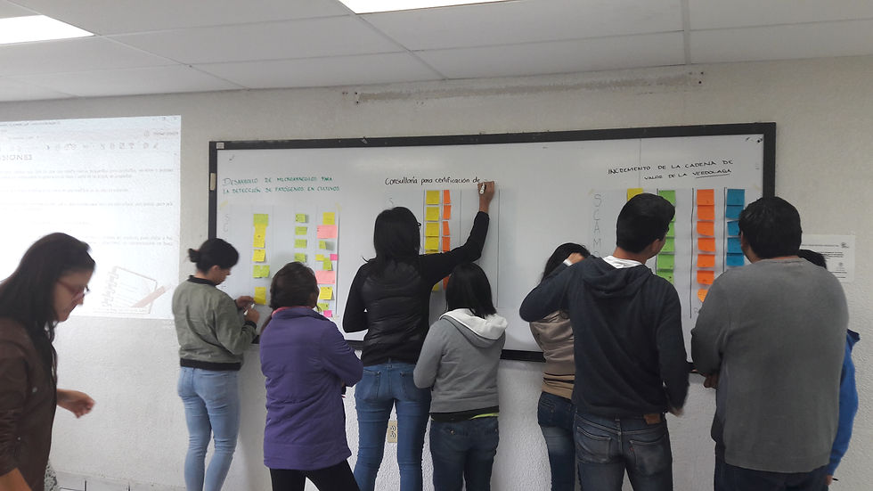 actividades academicas 7