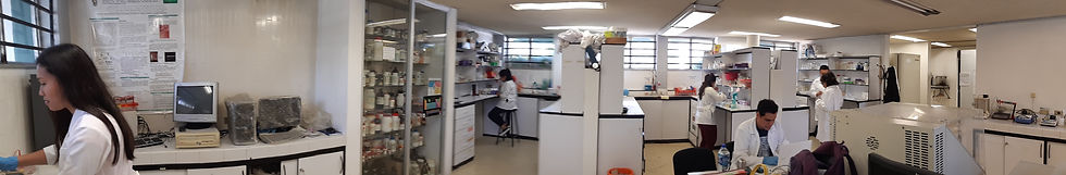 Lab. Biología Molecular