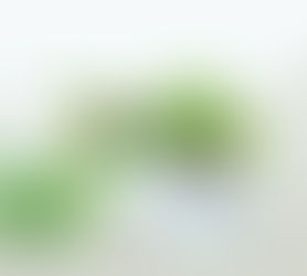 ആയുർവേദം.