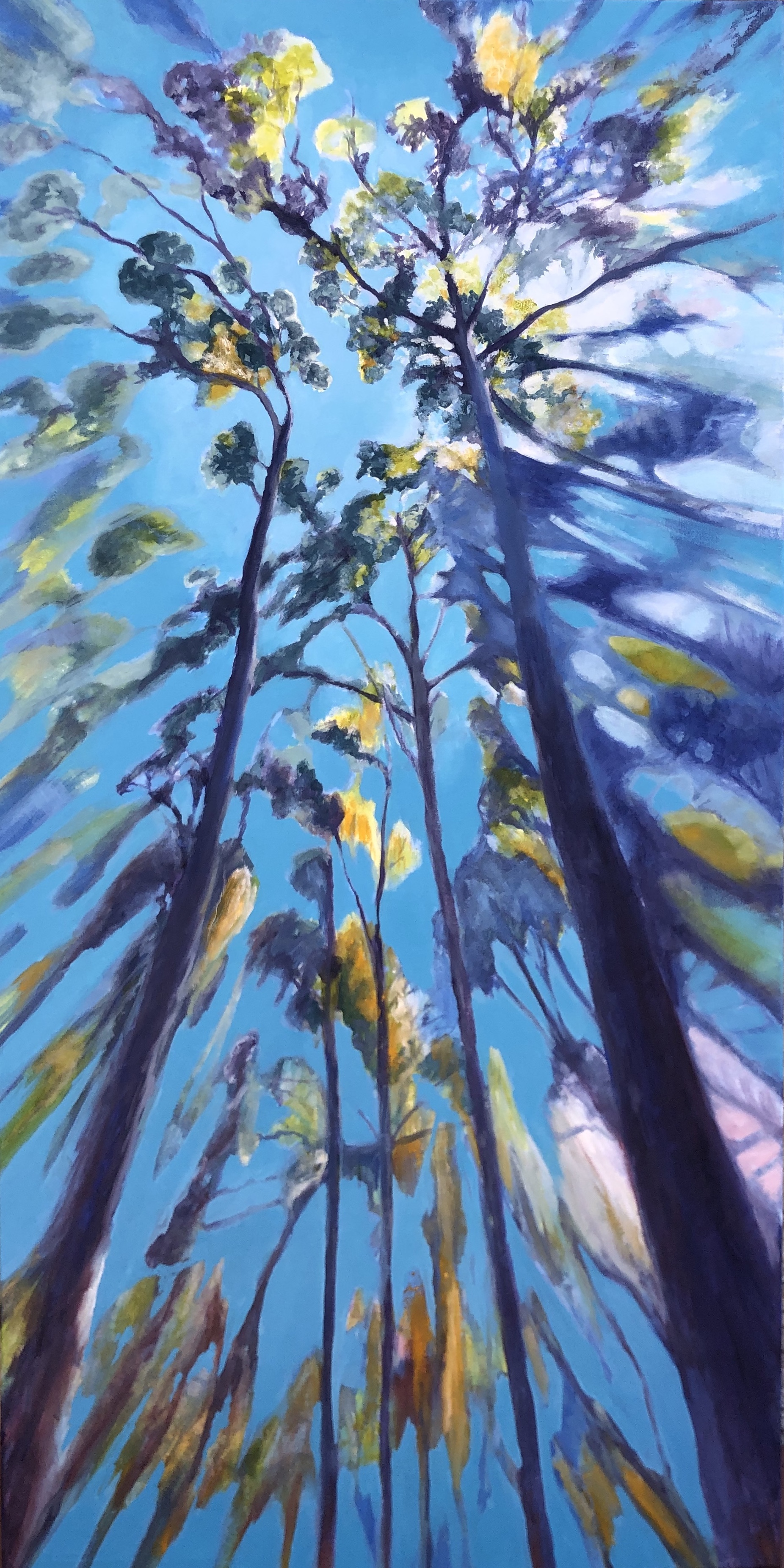 Boranup Magic, 2019