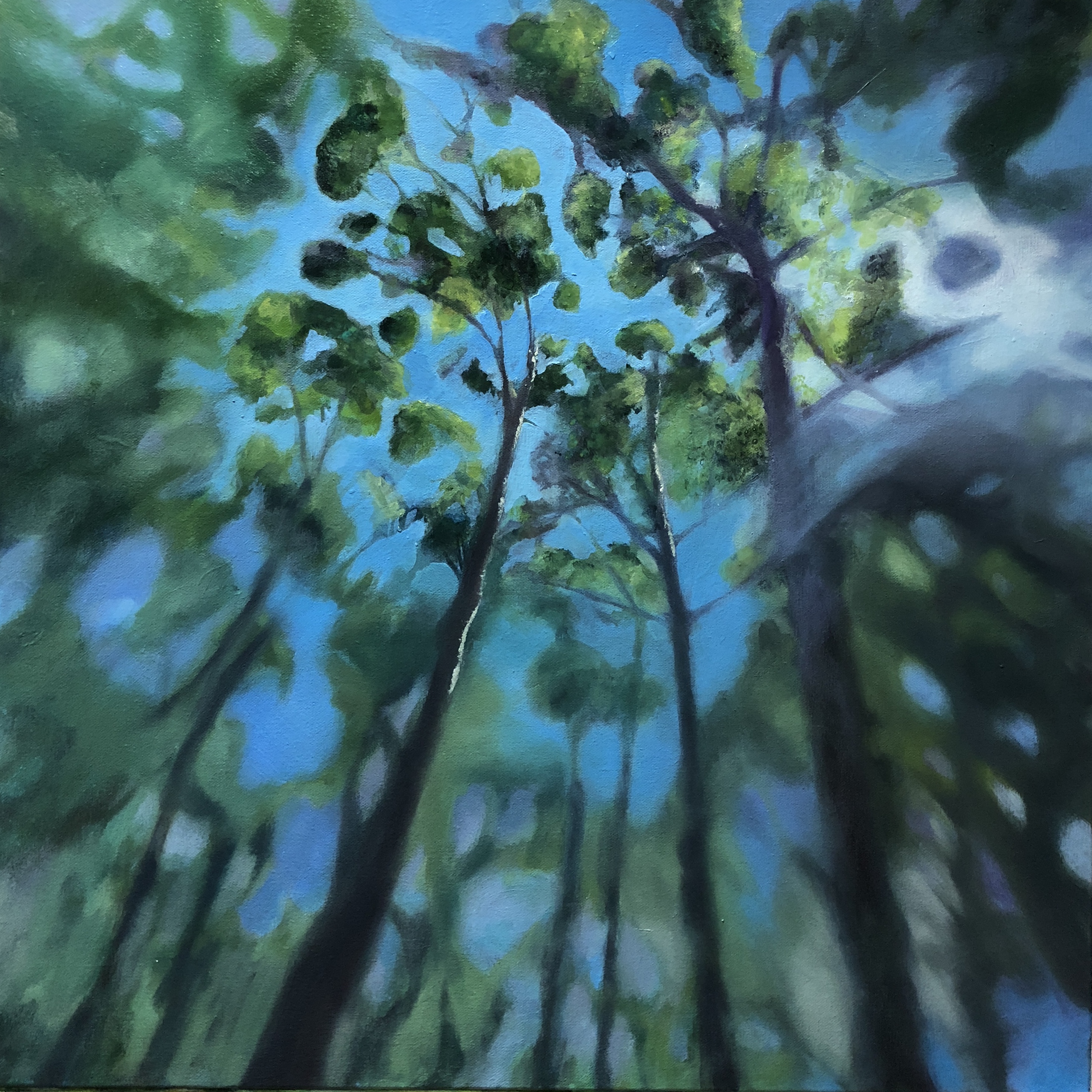 Forest Awe, 2018