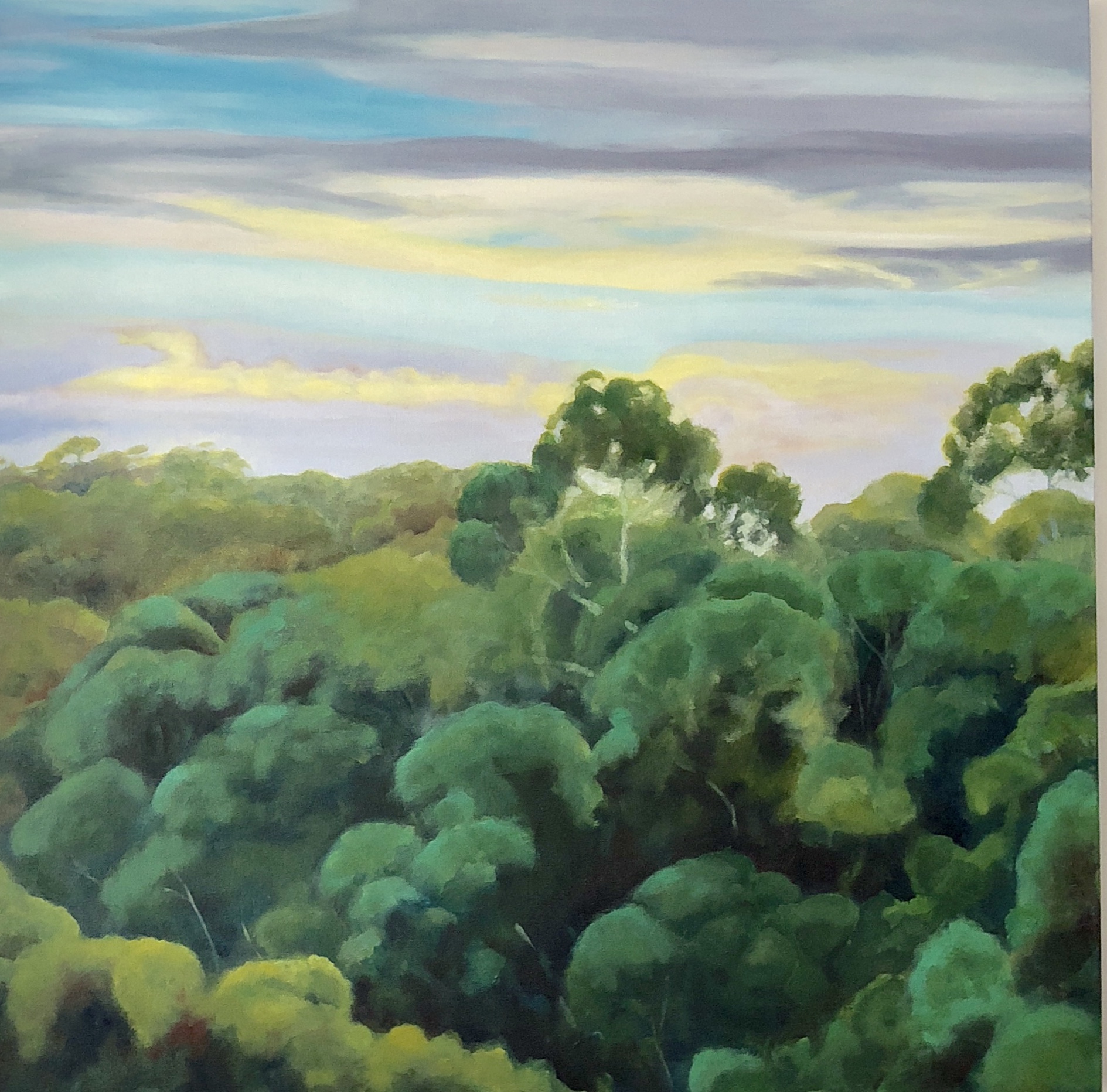Oasis, 2018