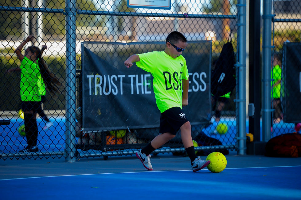 Toque DSF Program.jpg