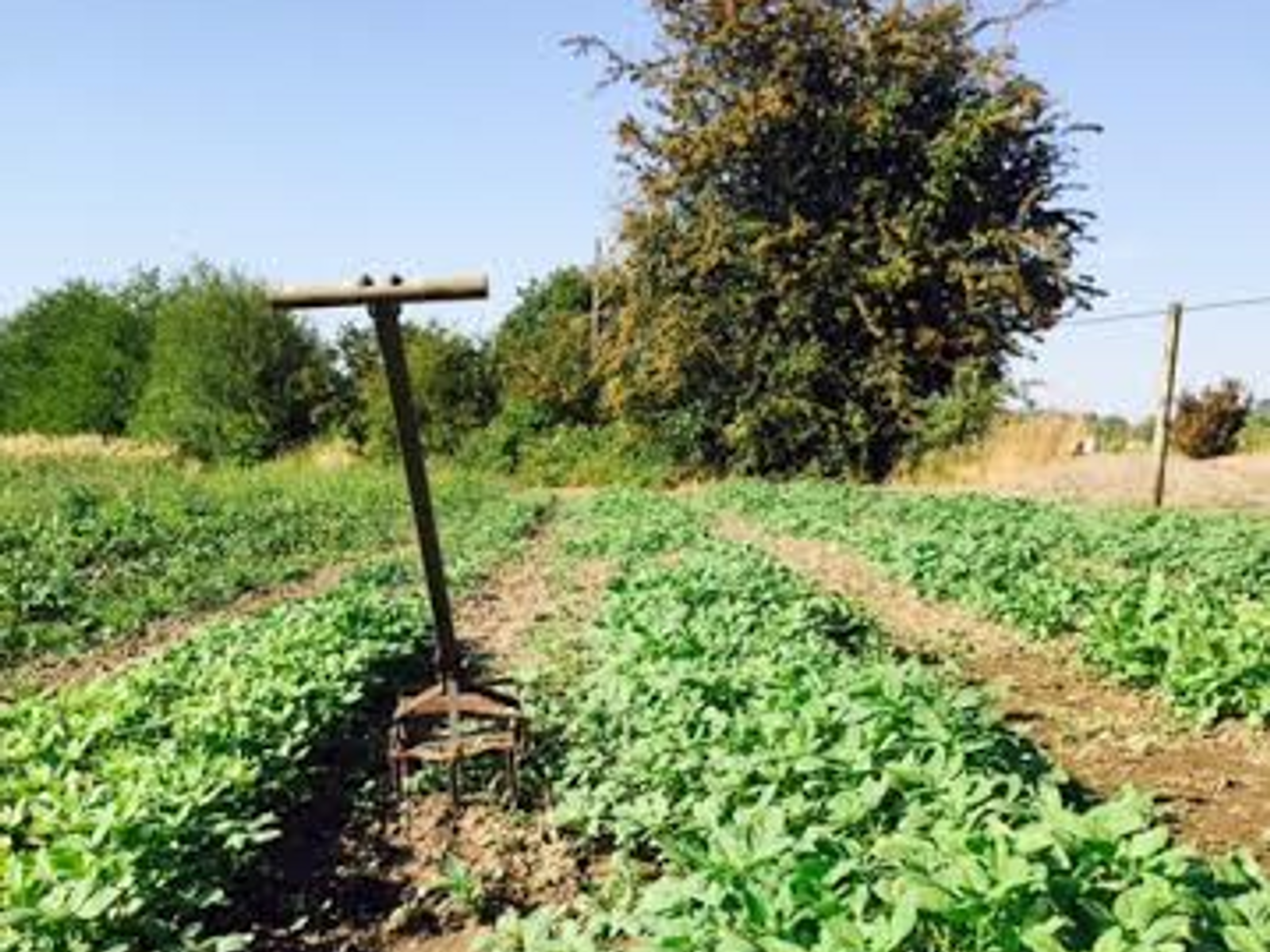 Draper Farms