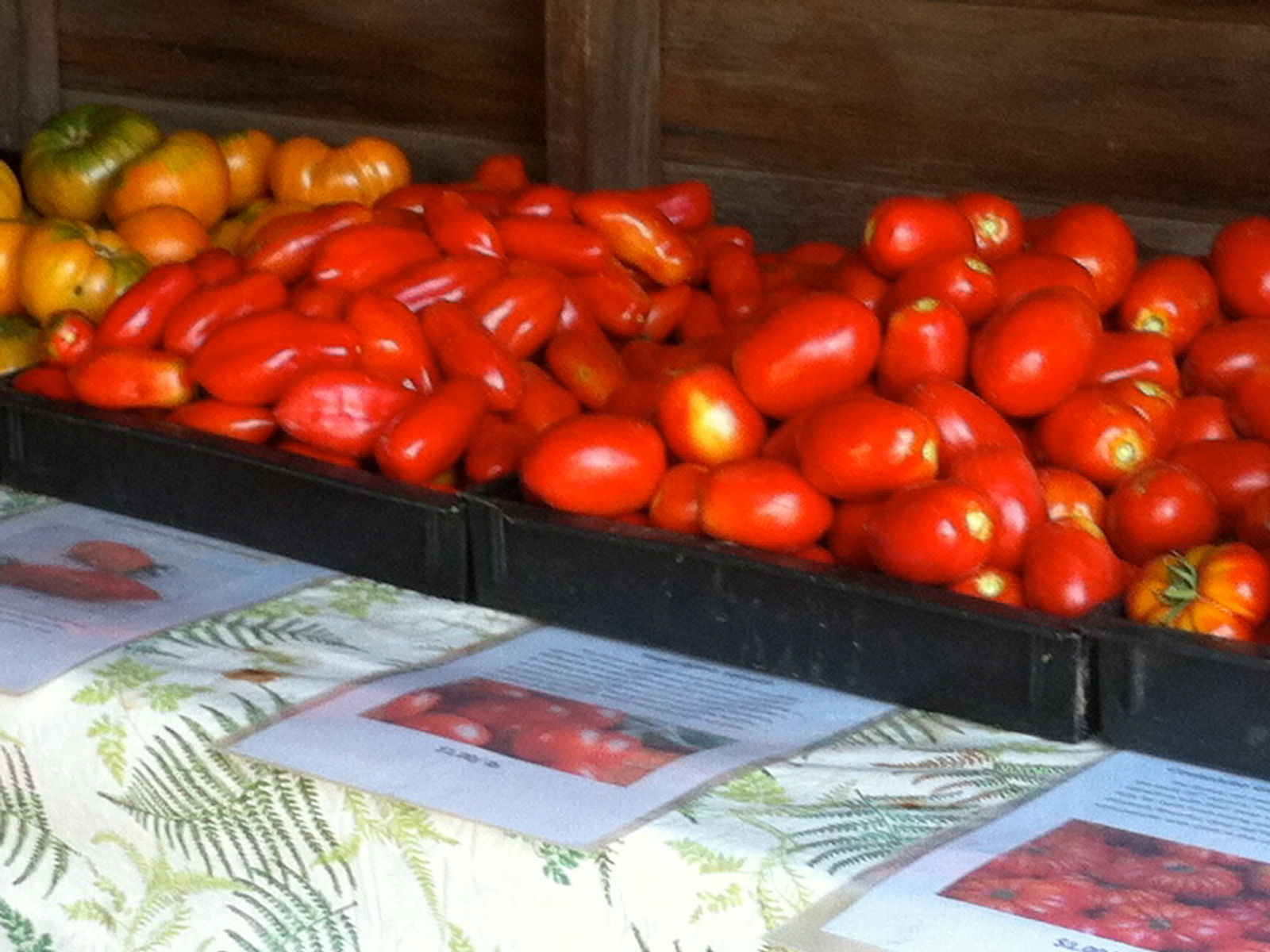 Draper Farms photo 3