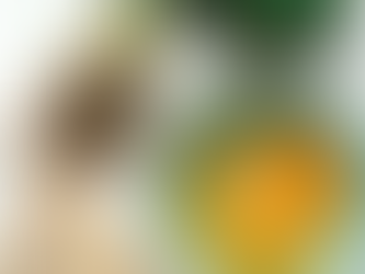 Jonathan Lovekin's Ingredients for a Photograph