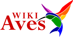 logoWIKIAVES.gif