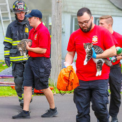 Oxford Road Fire Claims One Cat; Firefighters Save Two Others