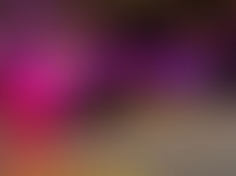 Shots Fired Incident Leads to Arrest