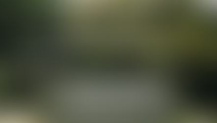 Medfest bilietai - mediko dienos proga pigiau