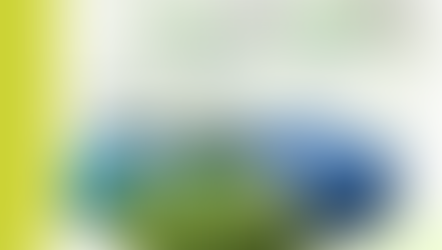 Klaipėdos TLK sveikatos priežiūrai – beveik 300 milijonų