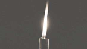 LSSO reiškia užuojautą mirus slaugytojai Onai Mitalienei