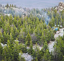 Camping Site
