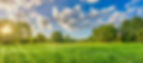 idyllic-mountain-panoramic-landscape-fresh-green-meadows-and-blooming-wildflowers-sun-ray-