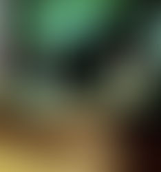 سهبارهت بهبازرگانیكردن بهكچان و ژنانی ئێرانیهوه لهههرێم ڕونكردنهوهی بهپهله دهدرێت