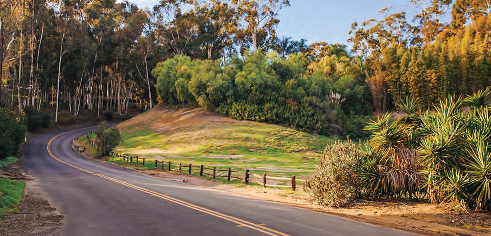 Rancho Santa Fe Covenant: Equestrian Trail Rules, Etiquette & Emergency Preparedness