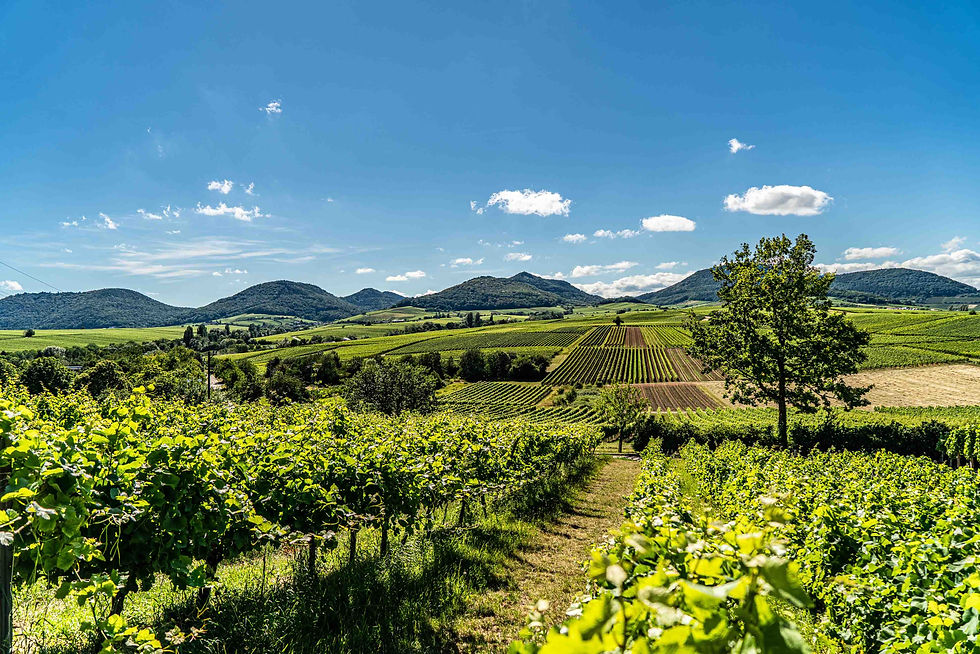 DSC03875-HDR_klein.jpg