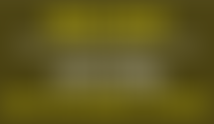 RAIS 2019 – Relatório Anual de Informações Sociais