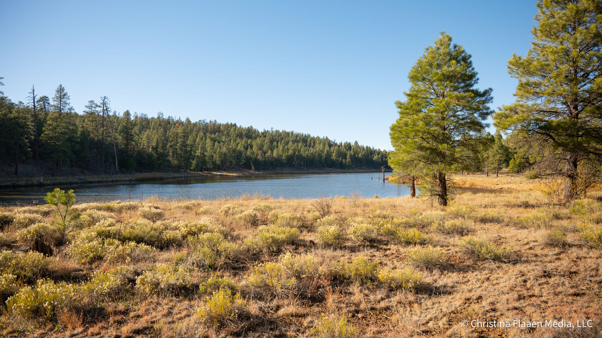 Wedding Photo Sample