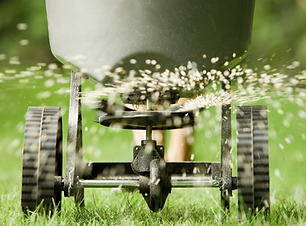Copy of Website service photo- lawn leveling (1).png