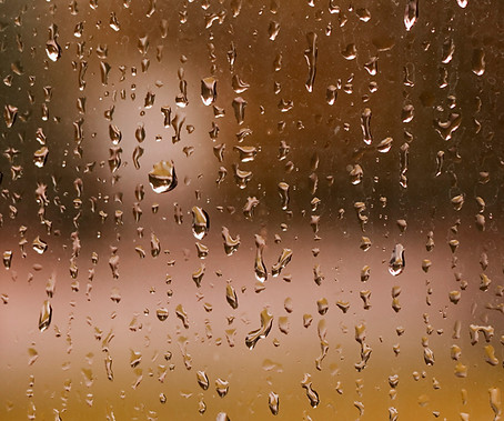 Raindrops on Window