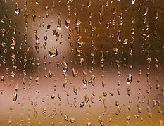 Raindrops on Window