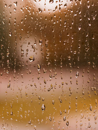 Rain on the Windowsill Poem by Krystle Kelley from the Swanlight Poetry Collection