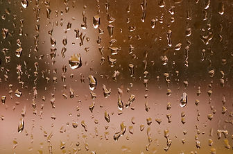 ウィンドウ上の雨滴