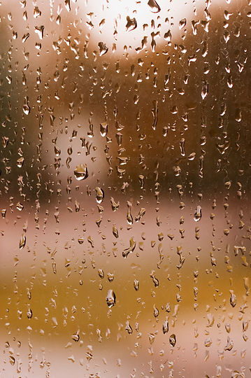Raindrops on Window