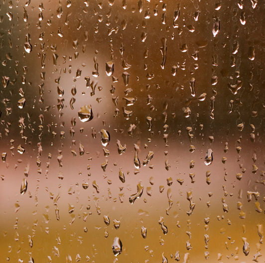 God’s Peace in Barrenness