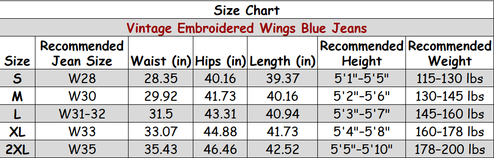 Vintage Embroidered Wings Blue Jeans