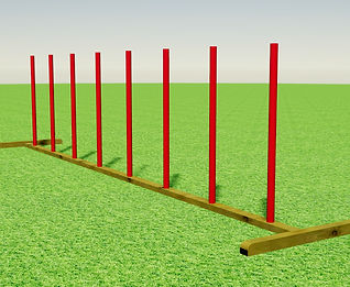 PERCORSO AGILITY 8 AUT