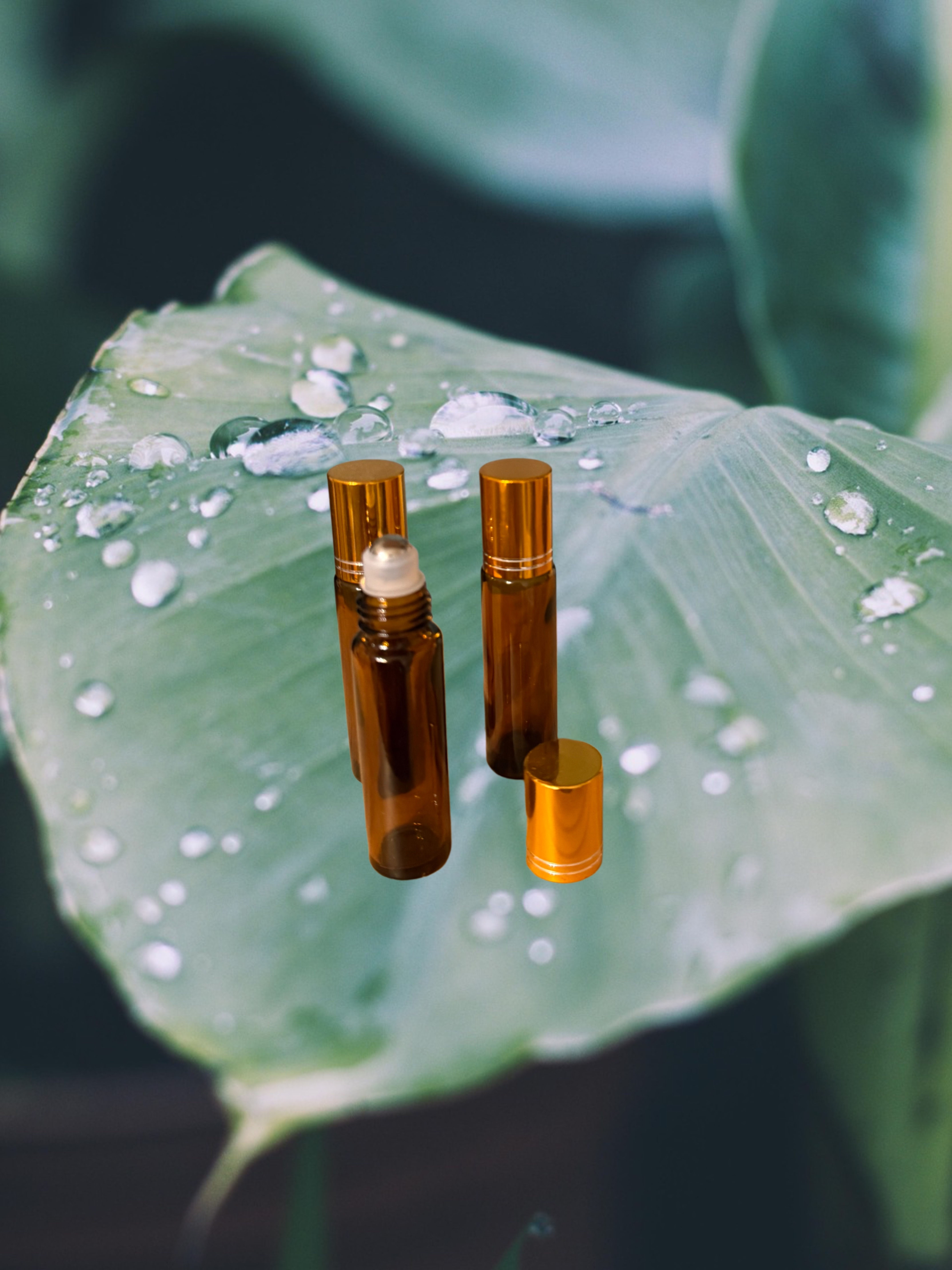 🌿 Holistic Harmony Essence Roller