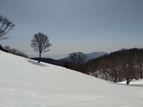 皆子山