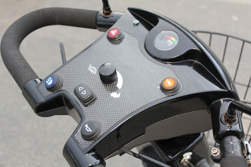 Thumbnail: RASCAL FRONTIER MOBILITY SCOOTER