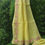 Thumbnail: Yellow kota cutwork sarees online, featuring intricate cutwork on the down border and pallu