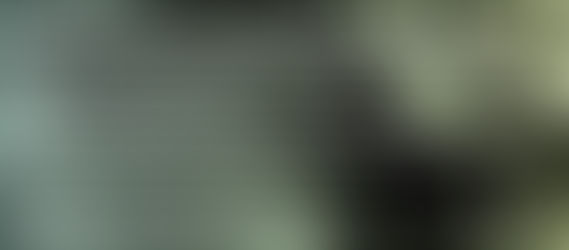 Prehistoric Creatures