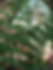 Screenshot 2025-06-27 at 4.50.57 PM